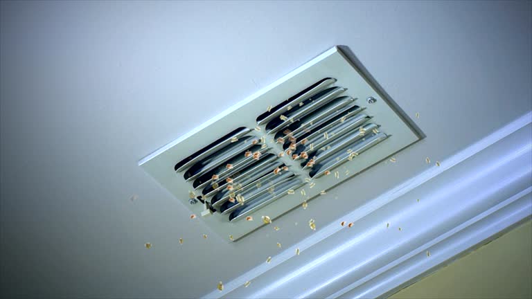 Best Affordable Duct Cleaning Services  in Deatsville, AL